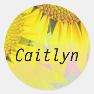 Adesivos de Nome Caitlyn Girassóis Arco-íris