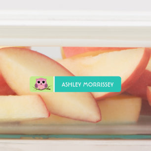 Adesivos de Nome Coloridos de Coruja Fofa para Cri