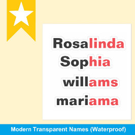 Adesivos de Nome Transparentes à Prova de Água Mod