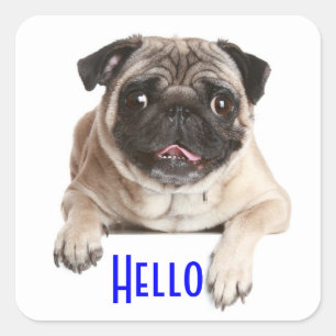 Adesivos de Olá do Cachorrinho Pug