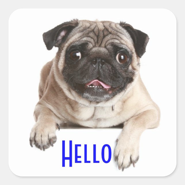 Adesivos de Olá do Cachorrinho Pug (Frente)