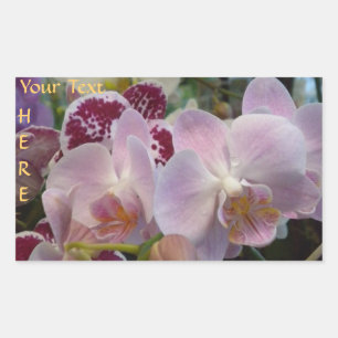 Adesivos de Orquídeas Rosa. *personalizar*