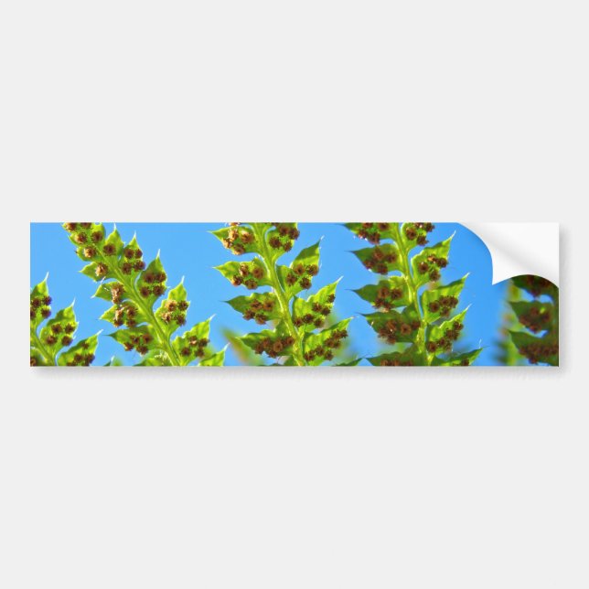 Adesivos de Para-choque Florestas Verdes Samambaia (Frente)