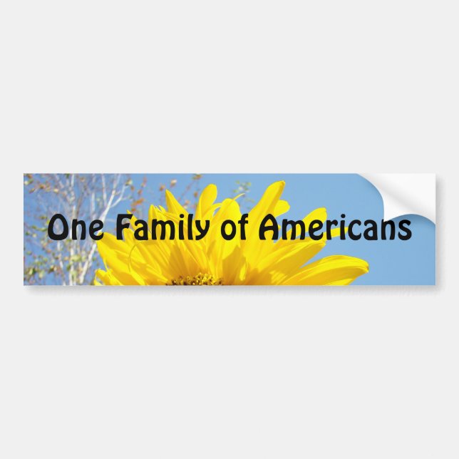 Adesivos de para-choque One Family of Americans (Frente)