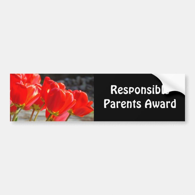 Adesivos de parabrisa Prêmio Pais Responsáveis Tul (Frente)