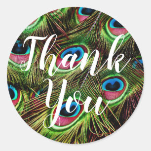 Adesivos de Pena de Pavão Obrigado