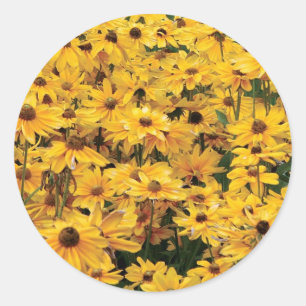 Adesivos de selagem de envelopes amarelos