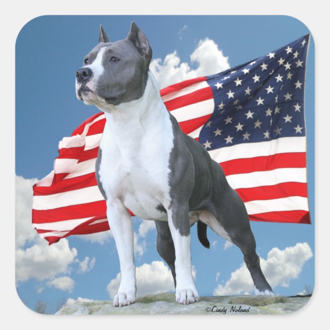 Adesivos de Staffordshire Terrier (Pit Bull) (Frente)