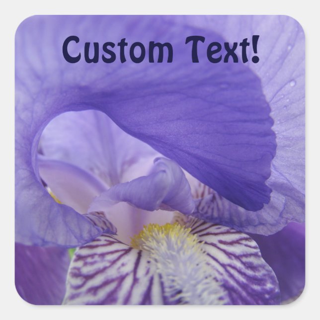 Adesivos de Texto Personalizado Flores de Íris Rox (Frente)