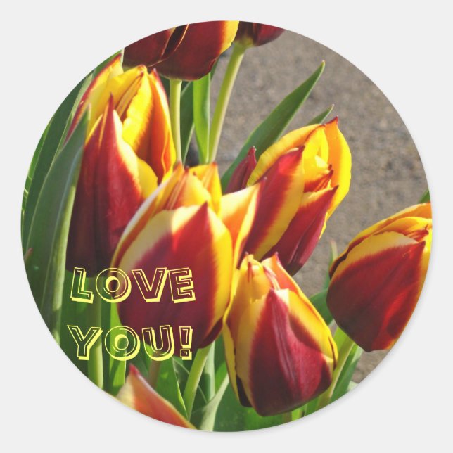 Adesivos de Tulipas Vermelhas Amarelas Flores Te A (Frente)