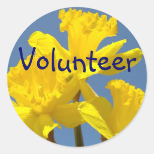 Adesivos de voluntário Flores Amarelas Narcisos Es
