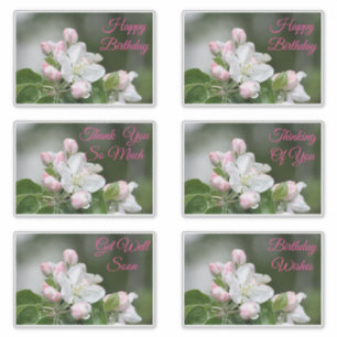 Adesivos Decorativos Para Todas As Ocasiões