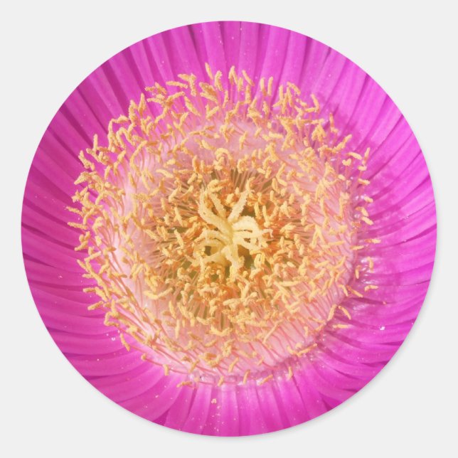 Adesivos do Centro da Flor Rosa (Frente)