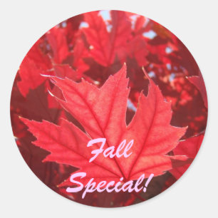 Adesivos do Especial de Outono! Folhas Vermelhas d