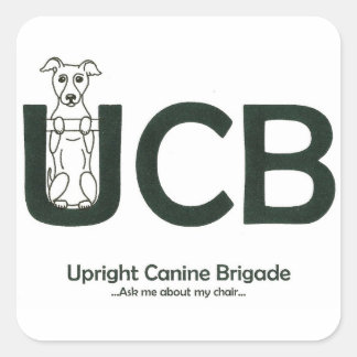 Adesivos do logotipo UCB