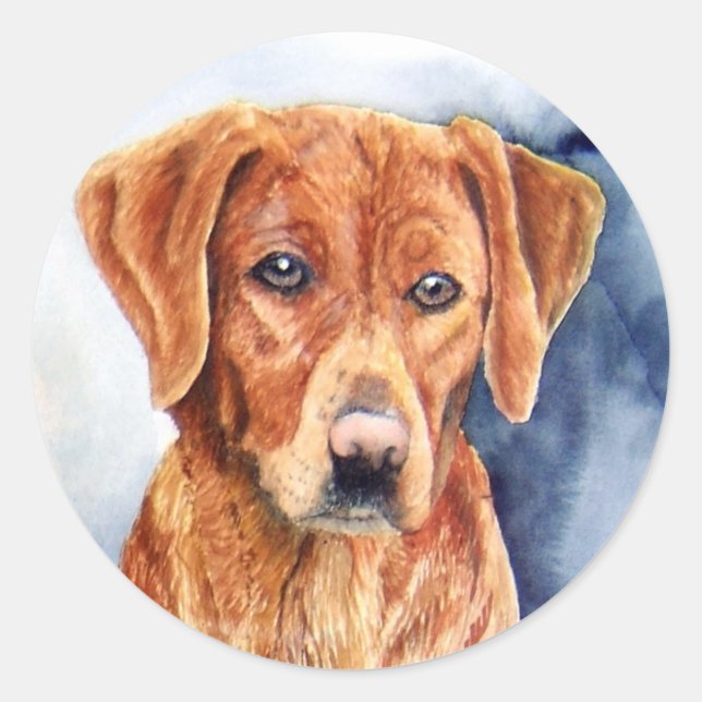 Adesivos do ouro Retriever (Frente)