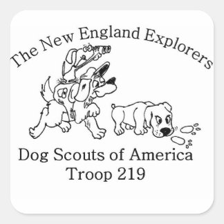 Adesivos DSA Troop 219