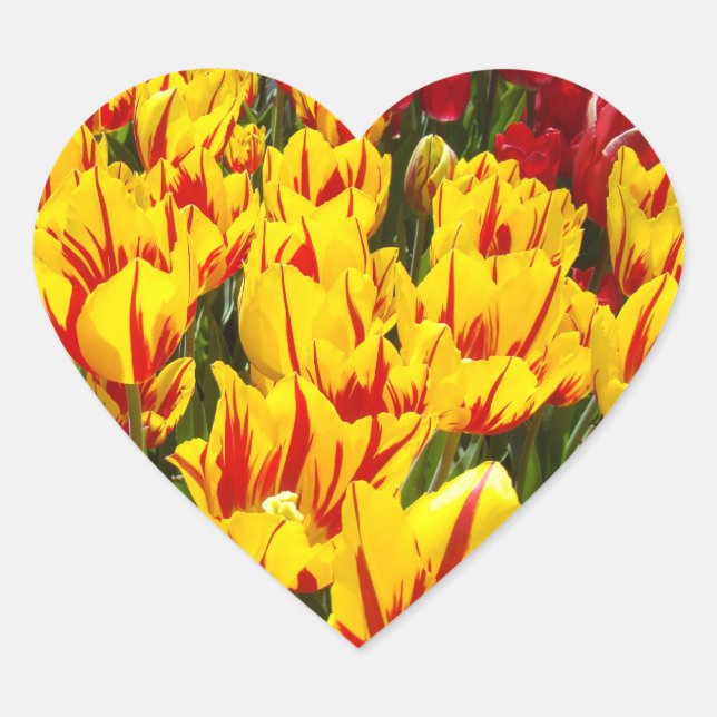 Adesivos em forma de coração Flores de Tulipa Ades (Frente)