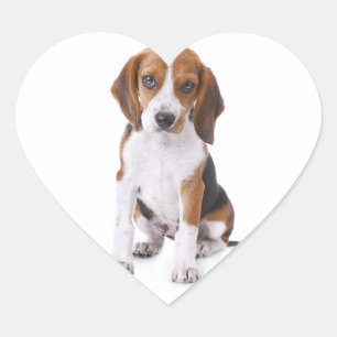 Adesivos / Etiqueta de Coração de Cachorro Filhote