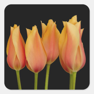 Adesivos Florais de Tulipas Laranja