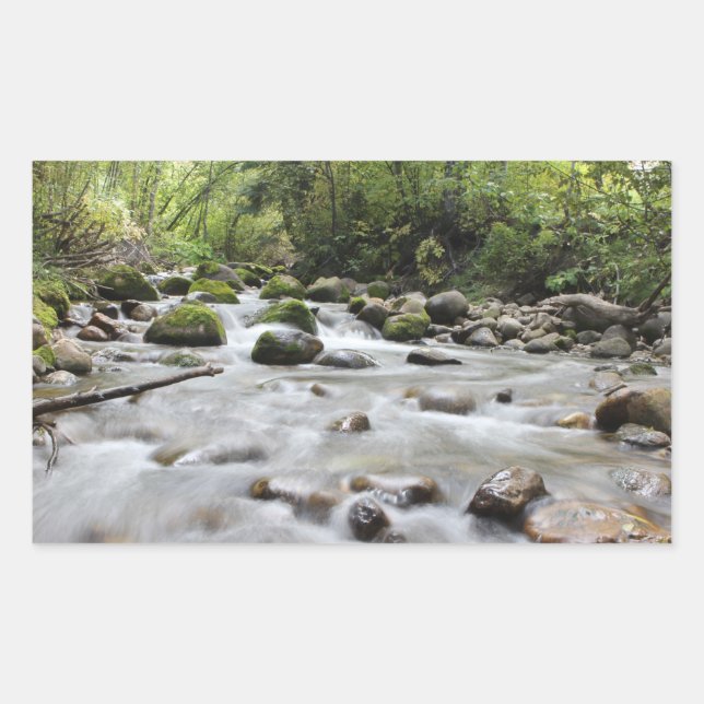 Adesivos Forest Stream (Frente)