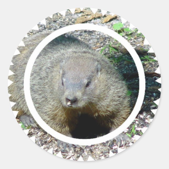 Adesivos Groundhog (Frente)