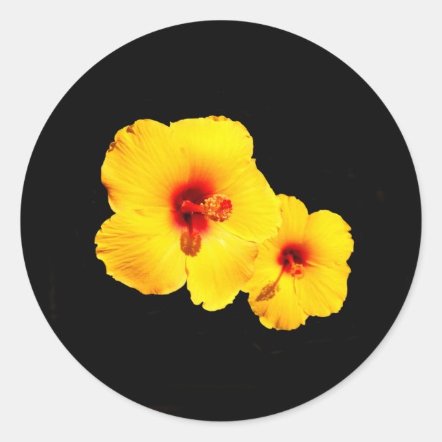 Adesivos Hibiscus Amarelos (Frente)