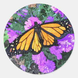 Adesivos Monarca & Ásteres