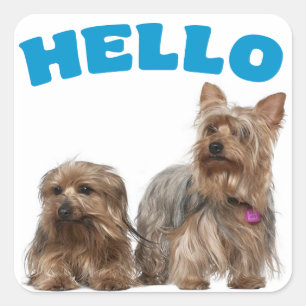Adesivos Olá Cachorrinho Yorkshire Terrier Azul