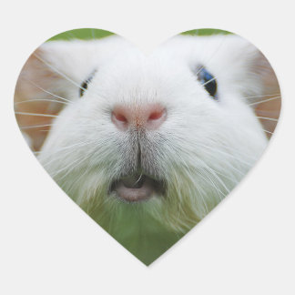 adesivos para borracha