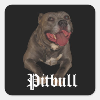 Adesivos para cães de Pitbull