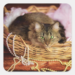 adesivos para garotas de festa