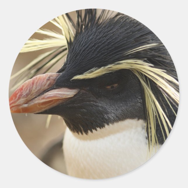 Adesivos Penguin Rockhopper (Frente)