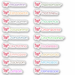 Adesivos Personalizados com Múltiplos Nomes de Vol