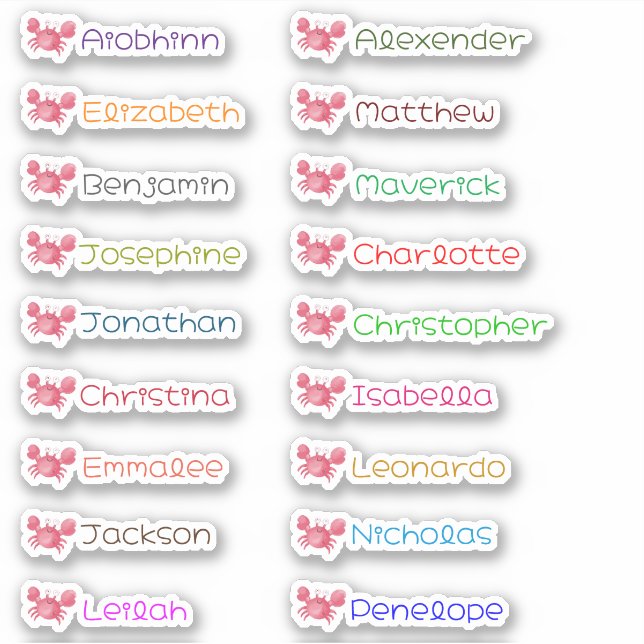 Adesivos Personalizados com Múltiplos Nomes de Vol (Frente)