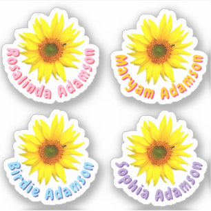 Adesivos Personalizados com Nome de Girassol (Resi
