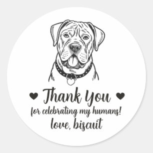 Adesivos Personalizados de Cane Corso para Lembran