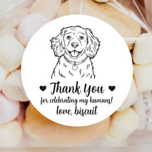 Adesivos Personalizados de Cão Cocker Spaniel para