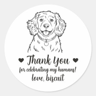 Adesivos Personalizados de Cão Cocker Spaniel para