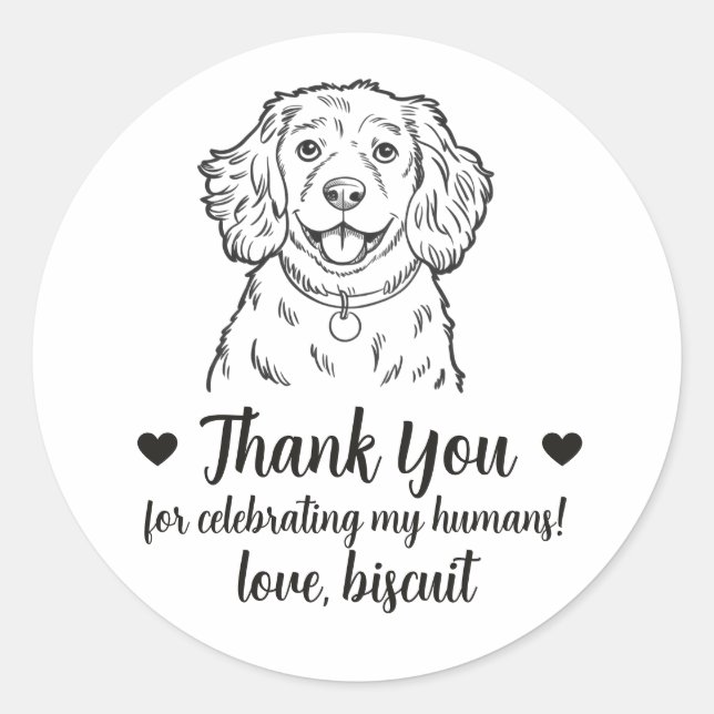 Adesivos Personalizados de Cão Cocker Spaniel para (Frente)