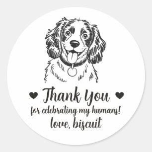 Adesivos Personalizados de Casamento com Spaniel p