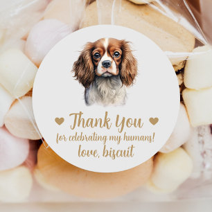 Adesivos Personalizados de Casamento Spaniel