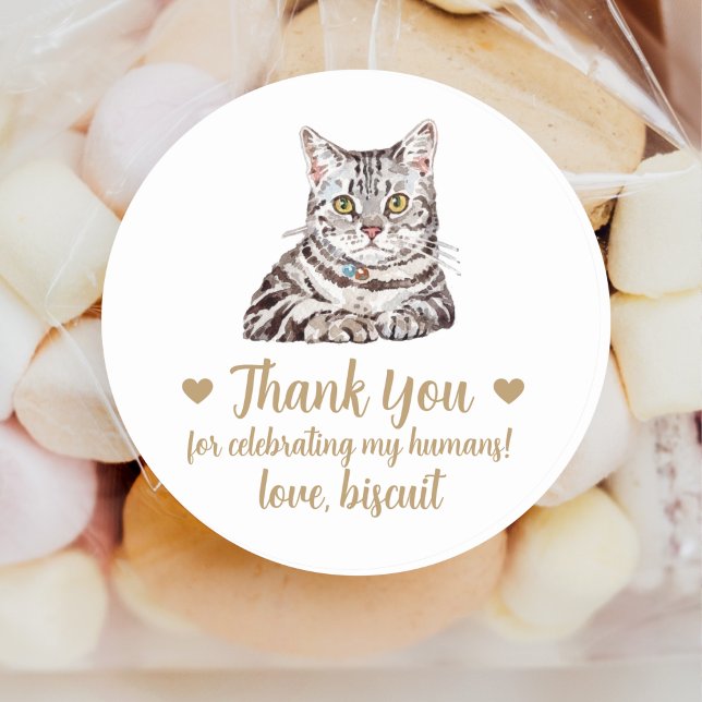 Adesivos Personalizados de Gato para Lembranças de (Criador carregado)
