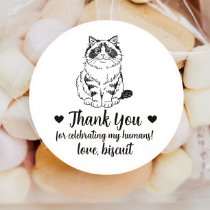 Adesivos Personalizados de Gato Ragdoll para Lembr