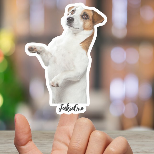 Adesivos Personalizados para Pets – Decais de Vini (Custom Pet Stickers – Dog & Cat Photo Vinyl Decals)