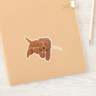Adesivos Personalizados Pequenos Goldie Doodle