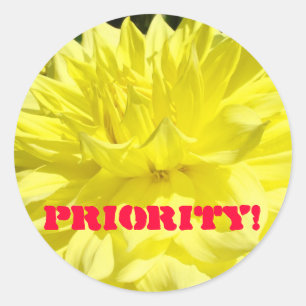 Adesivos Priority! Flores Amarelas de Dahlia Perso