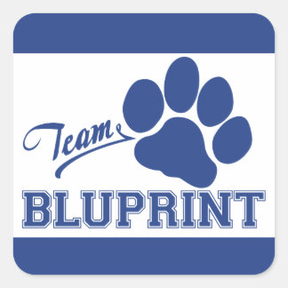 Adesivos Quadrados BluPrint de Equipe