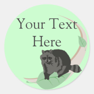 Adesivos Raccoon