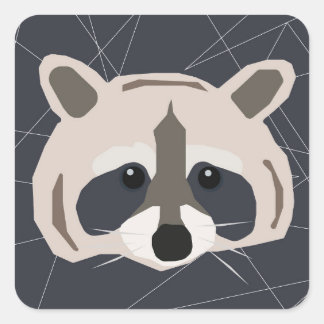 Adesivos raccoon